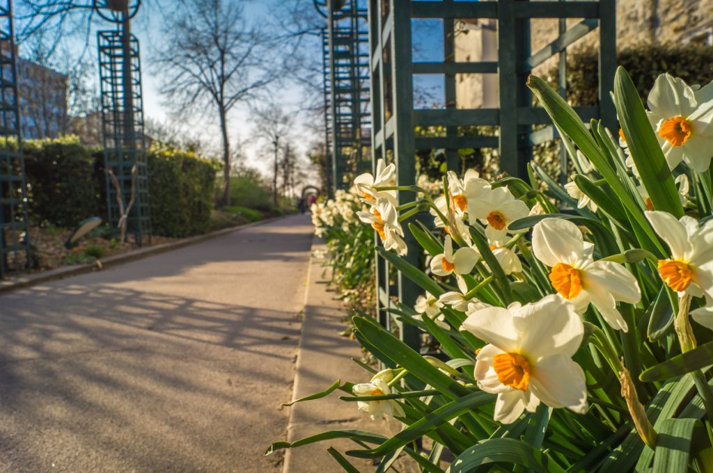 gardens in paris